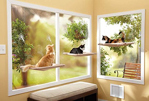 Window mounted cat shelf