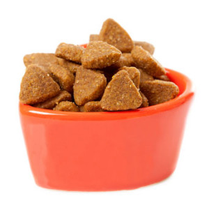 grain free cat food